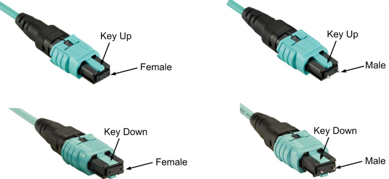 211166910477937.jpg 微信截圖_20221117112934.jpg